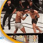 best place to bet on ufc